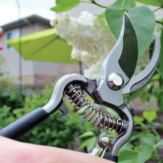 Harvesting & Preserving Thumbnail